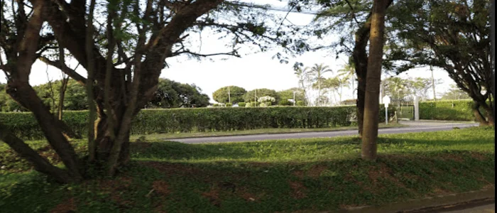 Colegio Saint Andrews