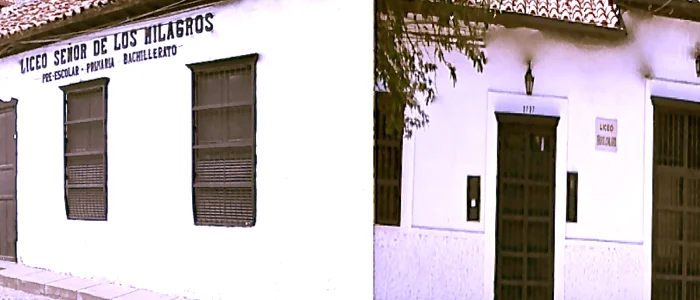 Liceo Señor de los Milagros