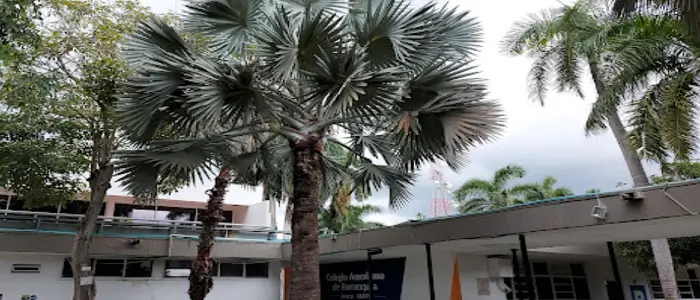 COLEGIO AMERICANO DE BARRANQUILLA