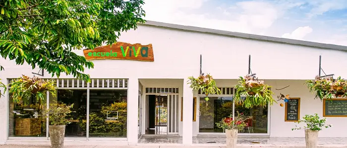Colegio Escuela Viva