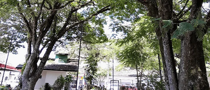 Colegio San Francisco (Franciscanos)