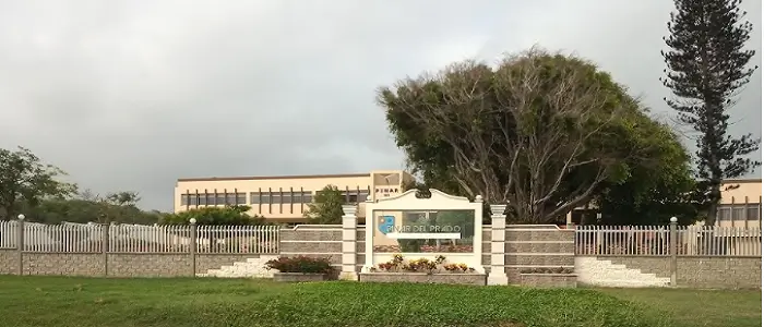 Pinar del Prado School
